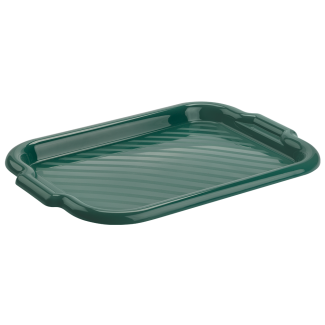 MOLLY rectangular tray 40x28cm 20181 green