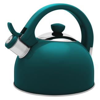 MOLLY stainless steel kettle 1.7l 26741 green