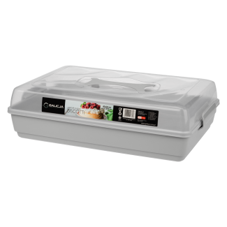 BISCOTTI cake container 44x30x13cm 7852 gray 