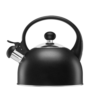MOLLY stainless steel kettle 1.7l 26741 anthracite
