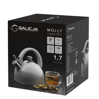 MOLLY stainless steel kettle 1.7l 26741 gray