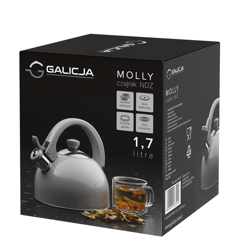 MOLLY stainless steel kettle 1.7l 26741 gray