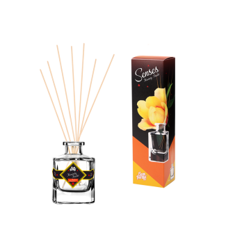 CT Senses Interior Perfume Flowers of Italy (Italia) 50ml 11966