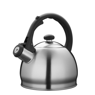 Stainless steel kettle HECTOR 1.9l 18023