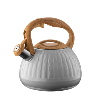 YANTAR stainless steel kettle 3l 35150 gray