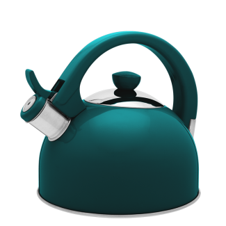 MOLLY stainless steel kettle 1.7l 26741 green