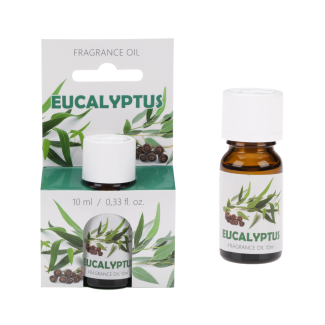 Fragrance oil 10 ml 96405 Eucalyptus