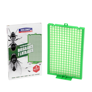 Flying and crawling insect plate 00028